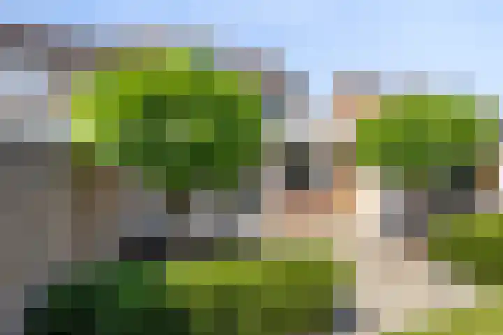 Kennedystraat 25 Ulestraten thumbnail 20