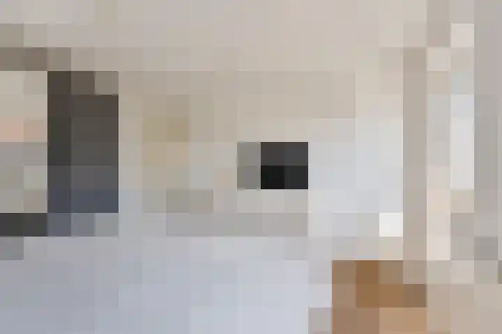 Kennedystraat 25 Ulestraten thumbnail 27