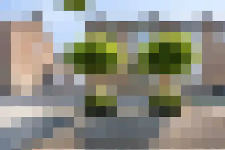 Kennedystraat 25 Ulestraten thumbnail 34