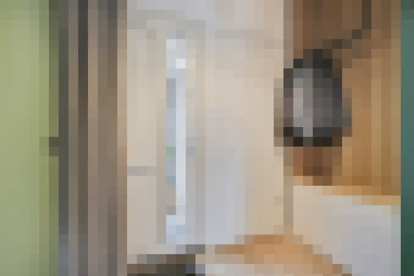 Kennedystraat 26 Duiven thumbnail 11