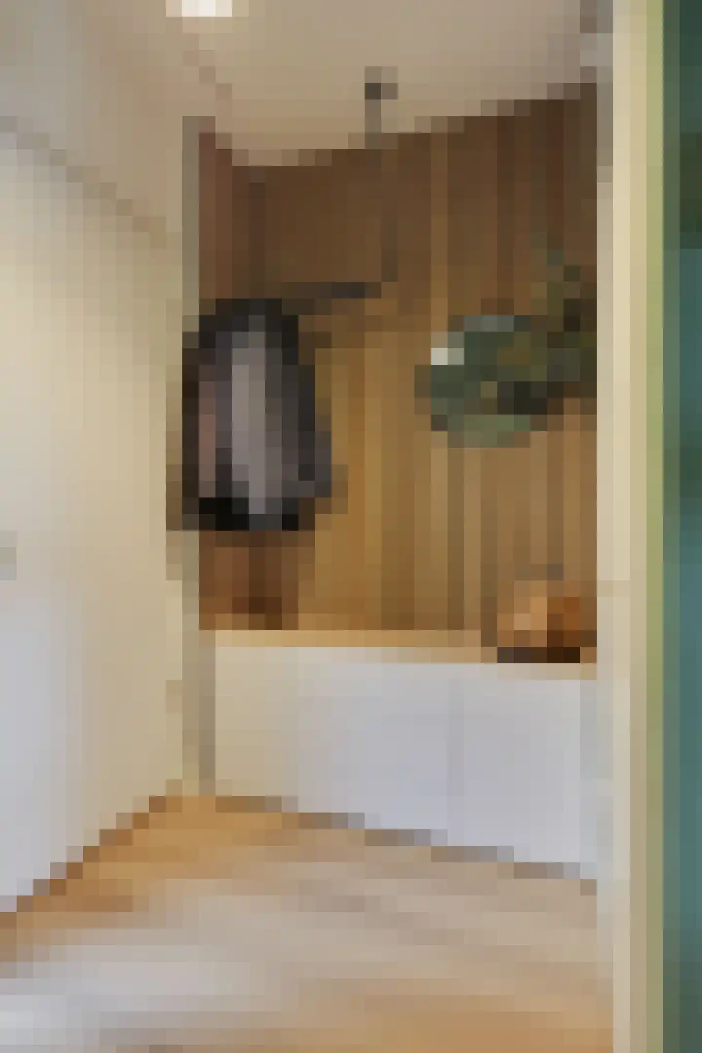 Kennedystraat 26 Duiven thumbnail 13