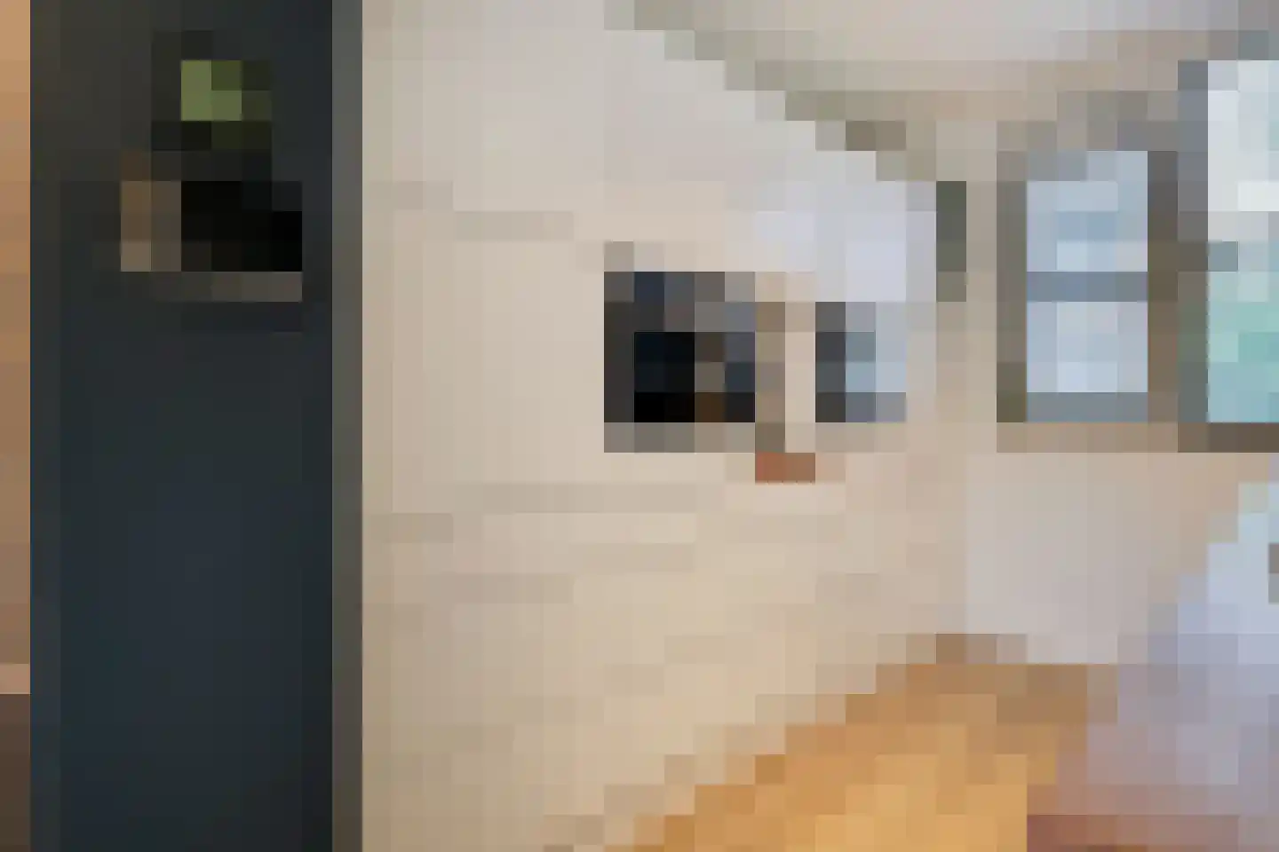 Kennedystraat 26 Duiven thumbnail 22