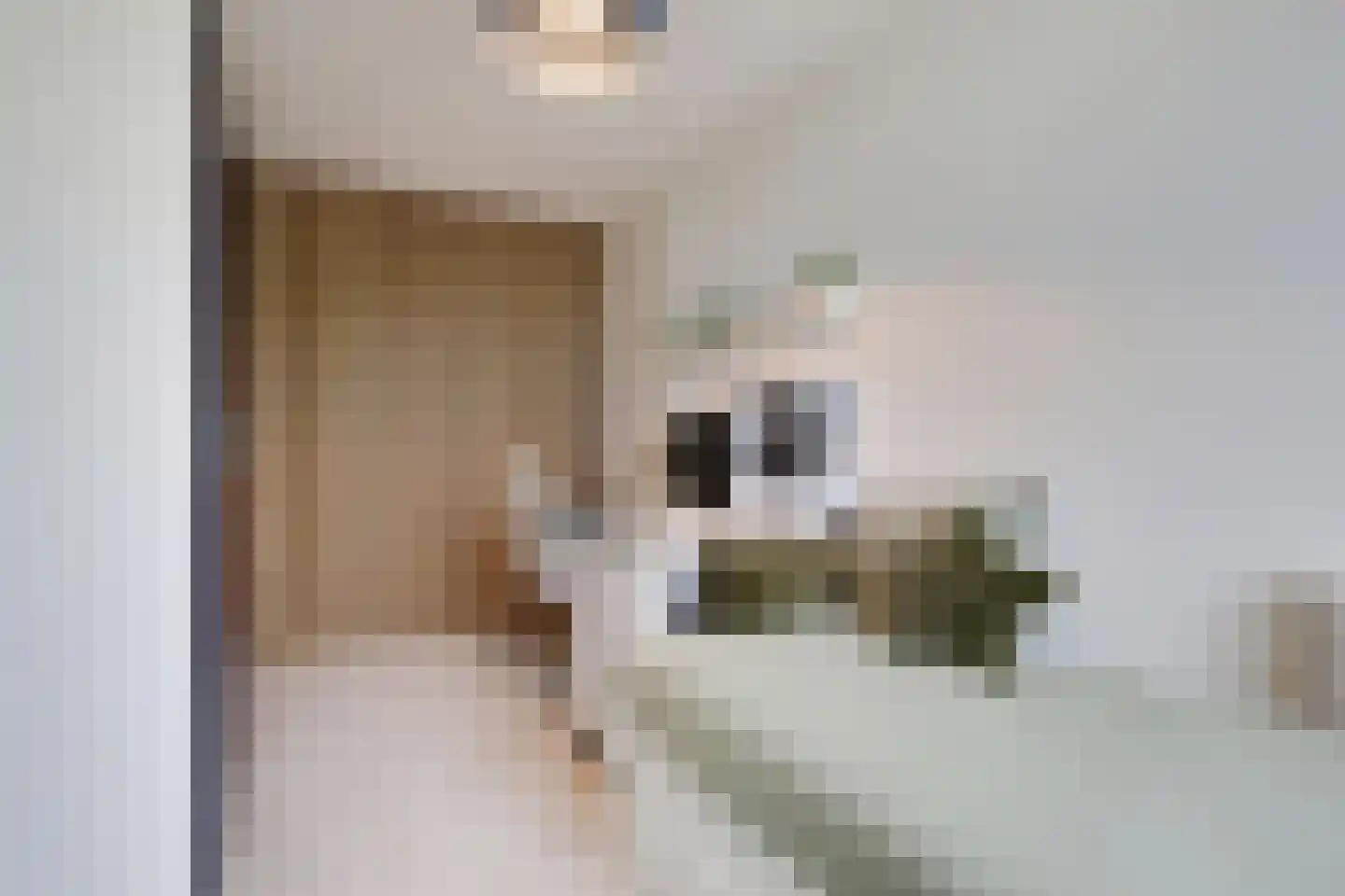 Kennedystraat 26 Duiven thumbnail 32
