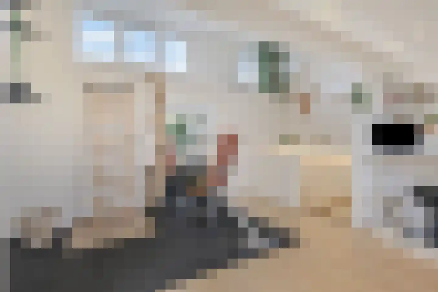 Kennedystraat 26 Duiven thumbnail 39