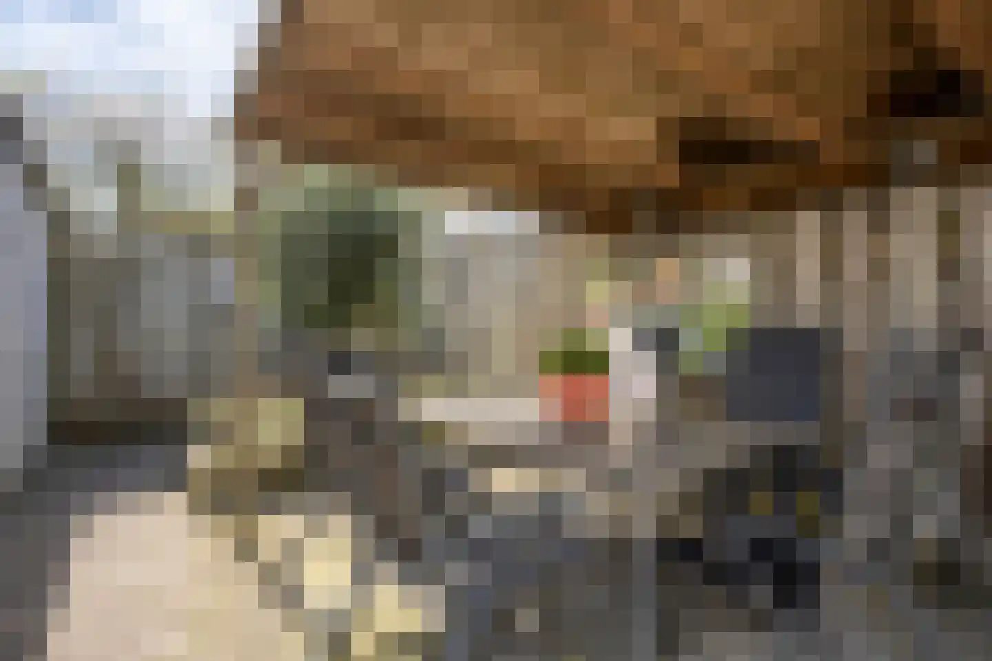 Kennedystraat 28 Berlicum thumbnail 31