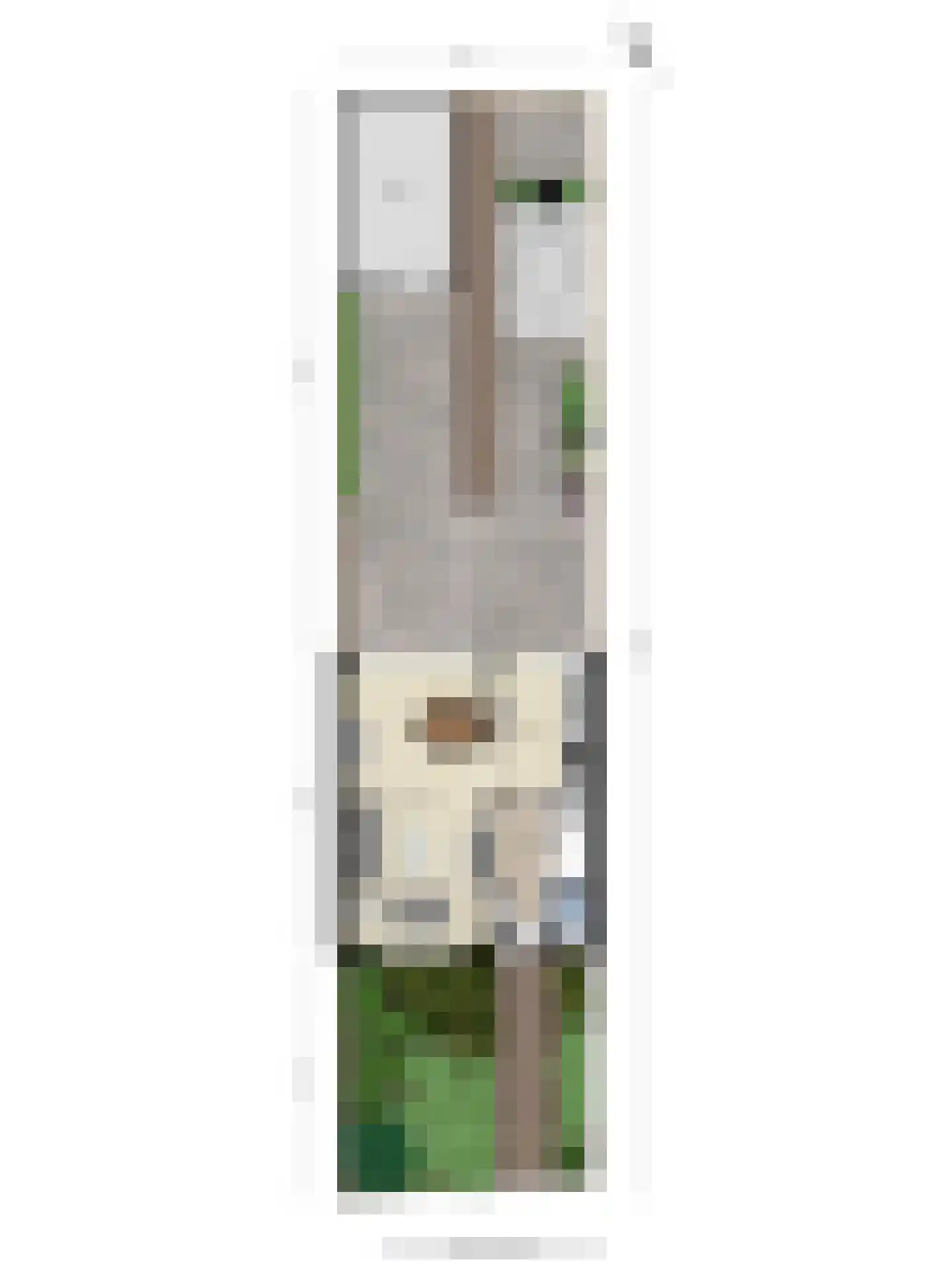 Kennedystraat 28 Berlicum thumbnail 40