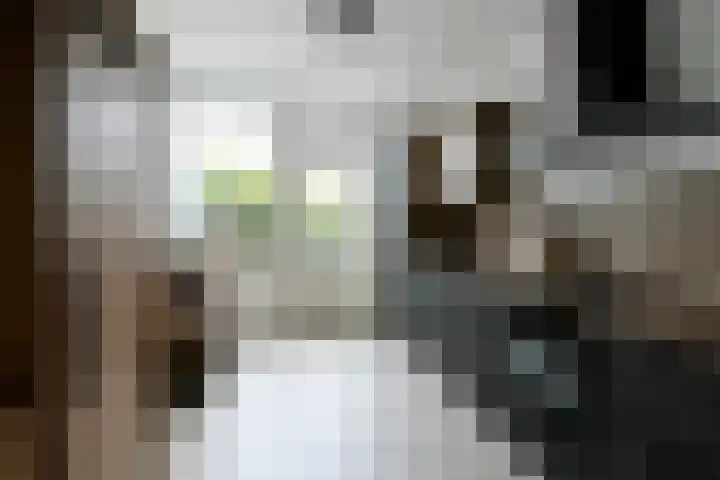 Kennedystraat 3 Heel thumbnail 10