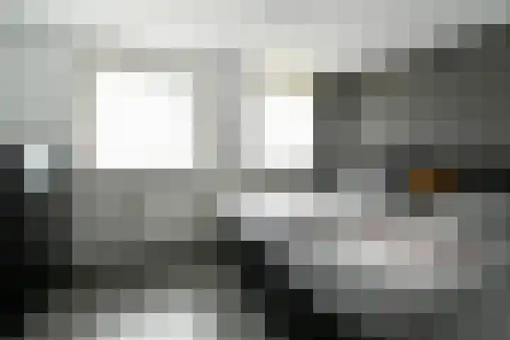 Kennedystraat 3 Heel thumbnail 17