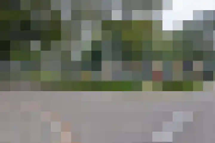 Kennedystraat 3 Heel thumbnail 24