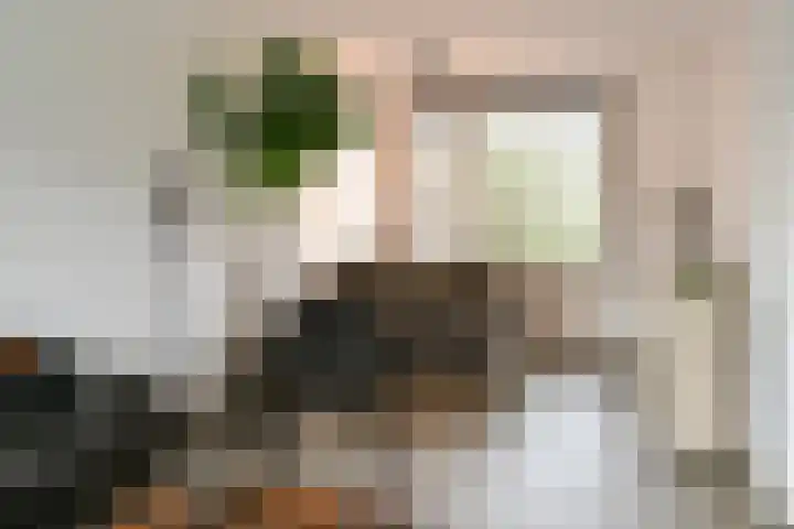 Kennedystraat 3 Heel thumbnail 4