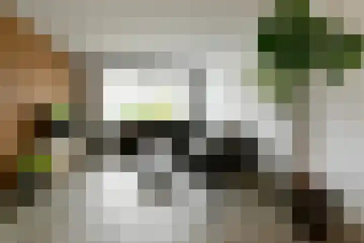 Kennedystraat 3 Heel thumbnail 5