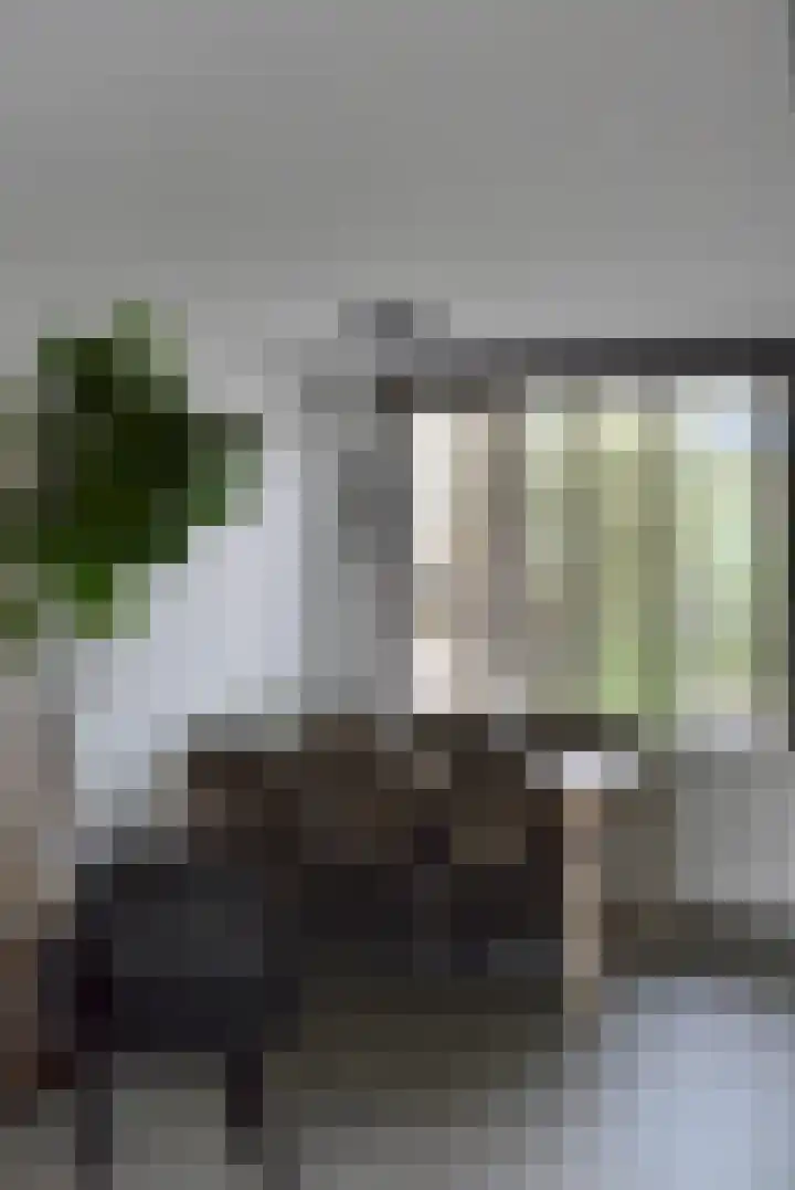 Kennedystraat 3 Heel thumbnail 6