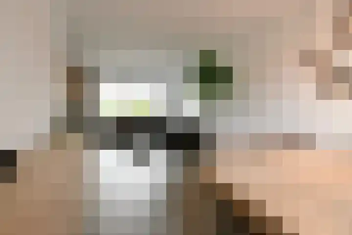 Kennedystraat 3 Heel thumbnail 7