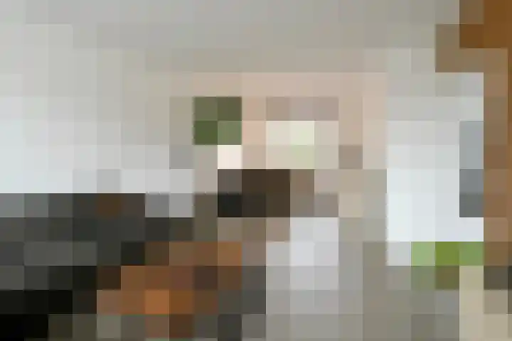 Kennedystraat 3 Heel thumbnail 9