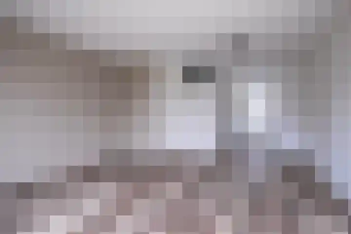 Kennedystraat 34 Duiven thumbnail 10