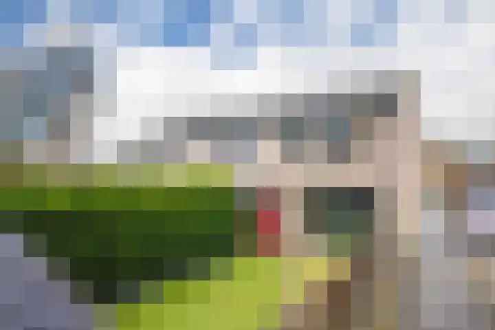 Kennedystraat 34 Duiven thumbnail 16