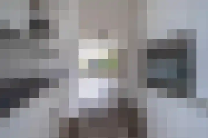 Kennedystraat 34 Duiven thumbnail 4