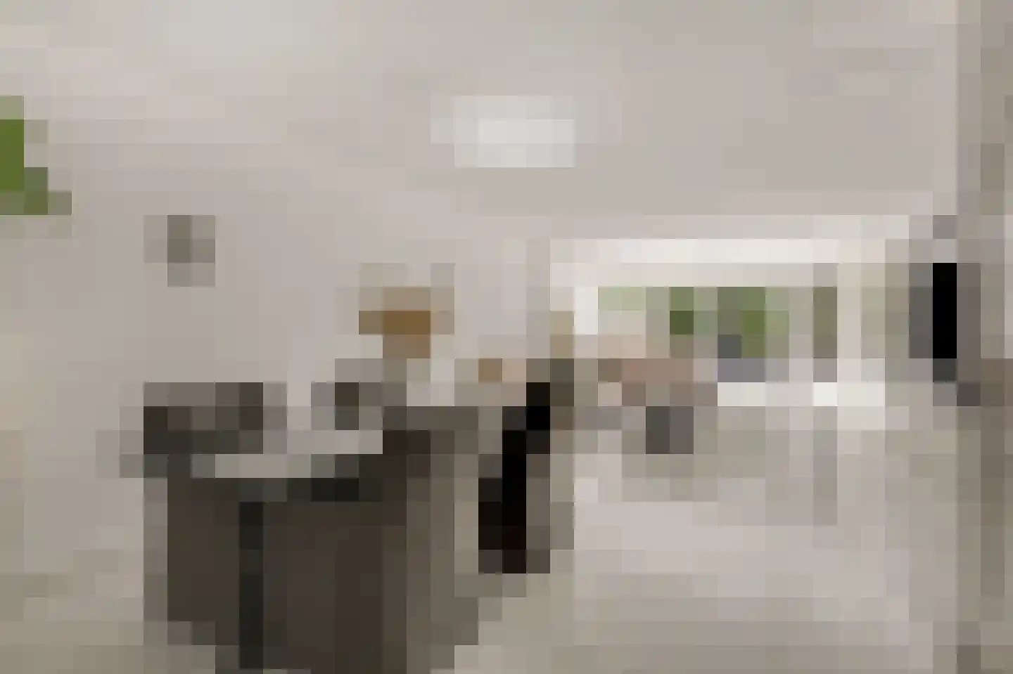 Kennedystraat 36 Duiven thumbnail 17