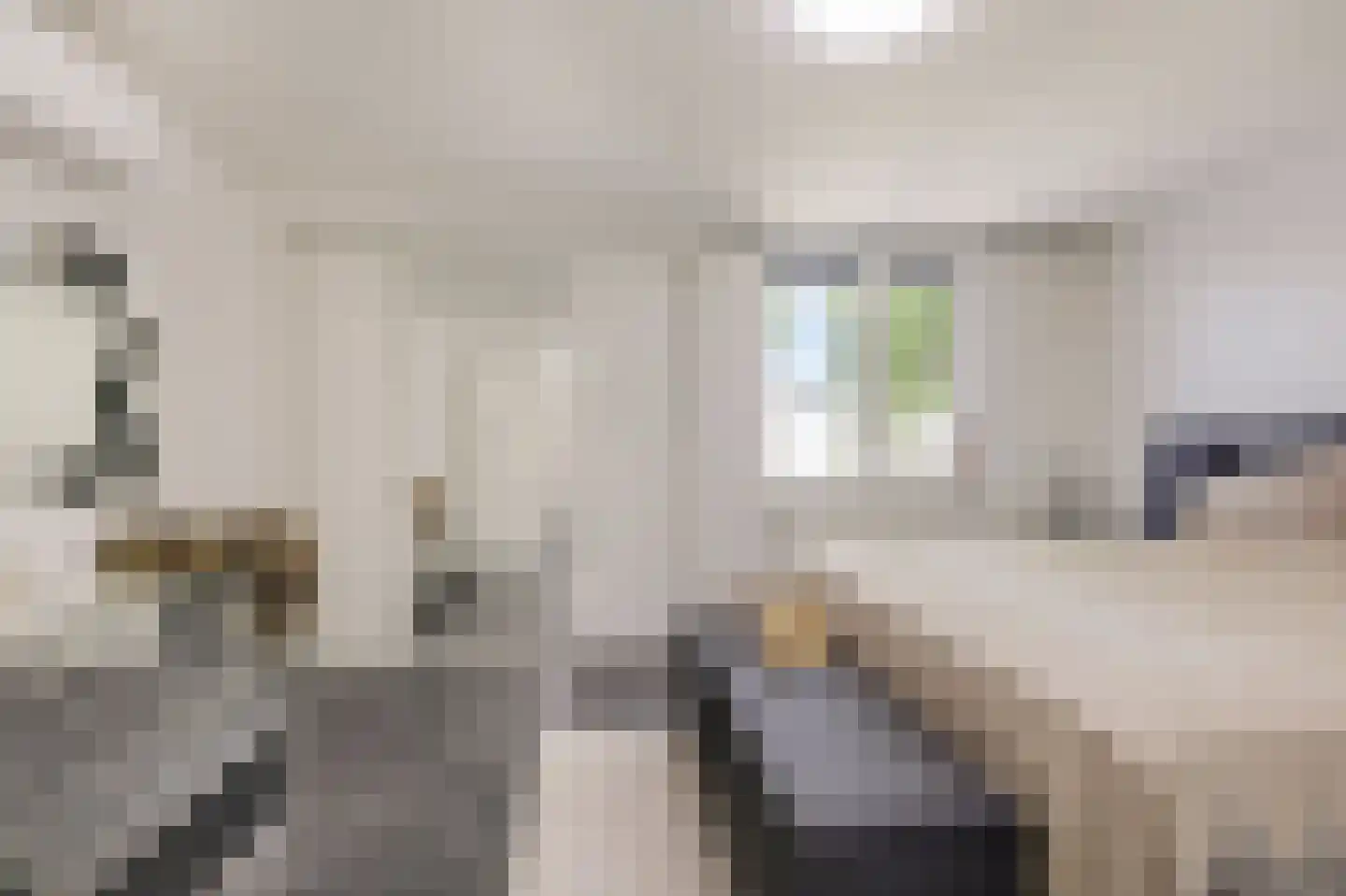 Kennedystraat 36 Duiven thumbnail 40