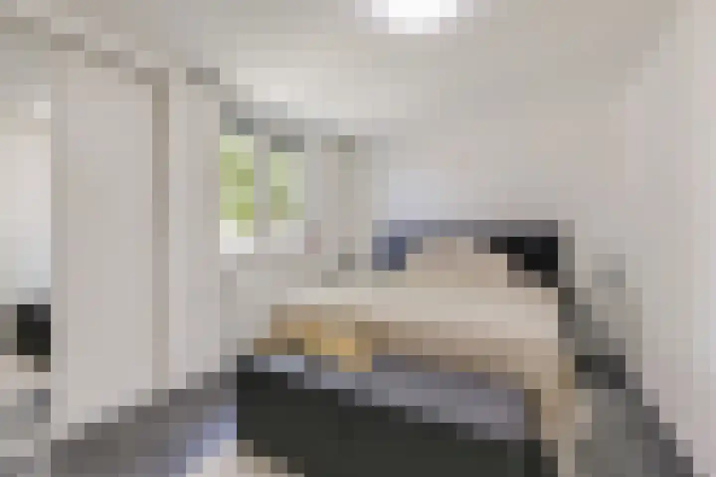 Kennedystraat 36 Duiven thumbnail 41