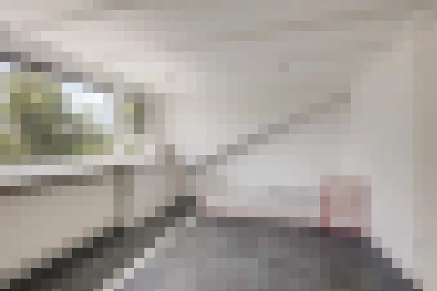 Kennedystraat 36 Duiven thumbnail 49