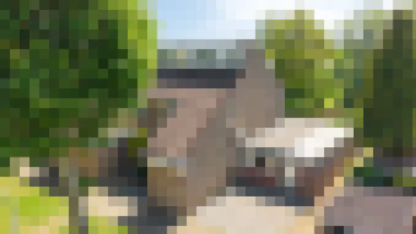 Kennedystraat 36 Duiven thumbnail 50