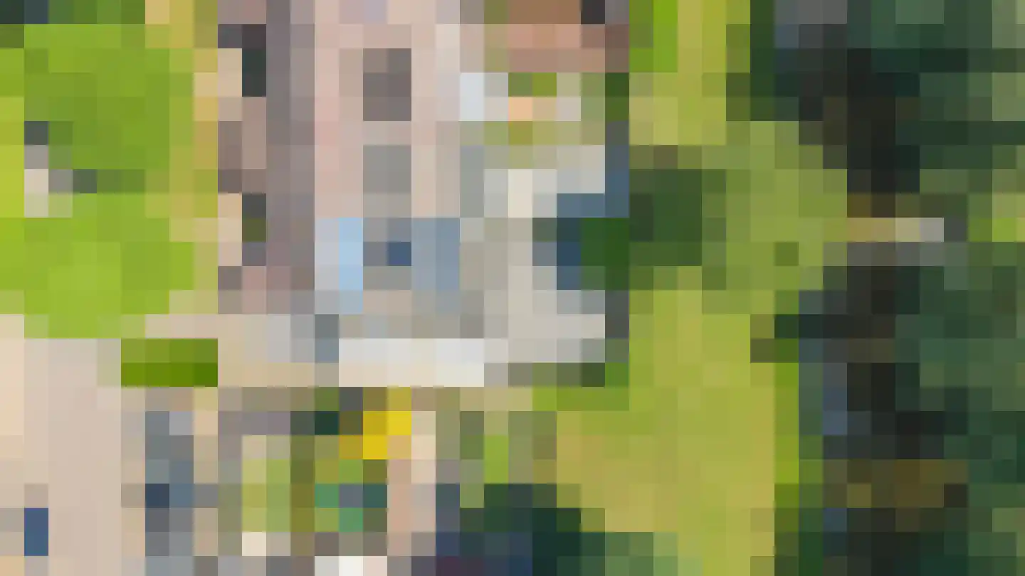 Kennedystraat 36 Duiven thumbnail 53