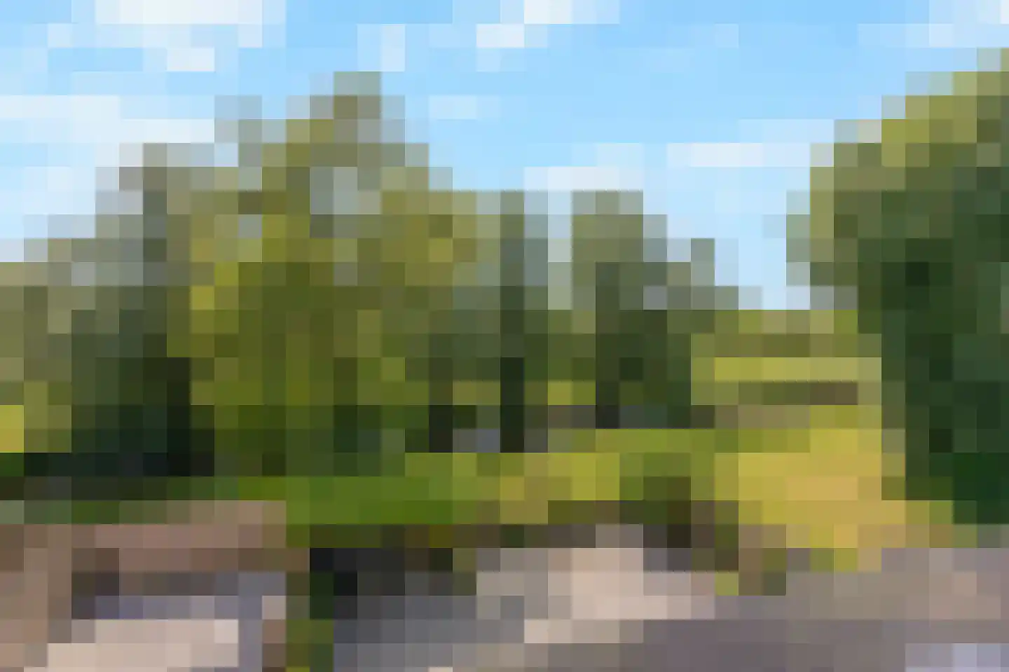 Kennedystraat 36 Duiven thumbnail 54