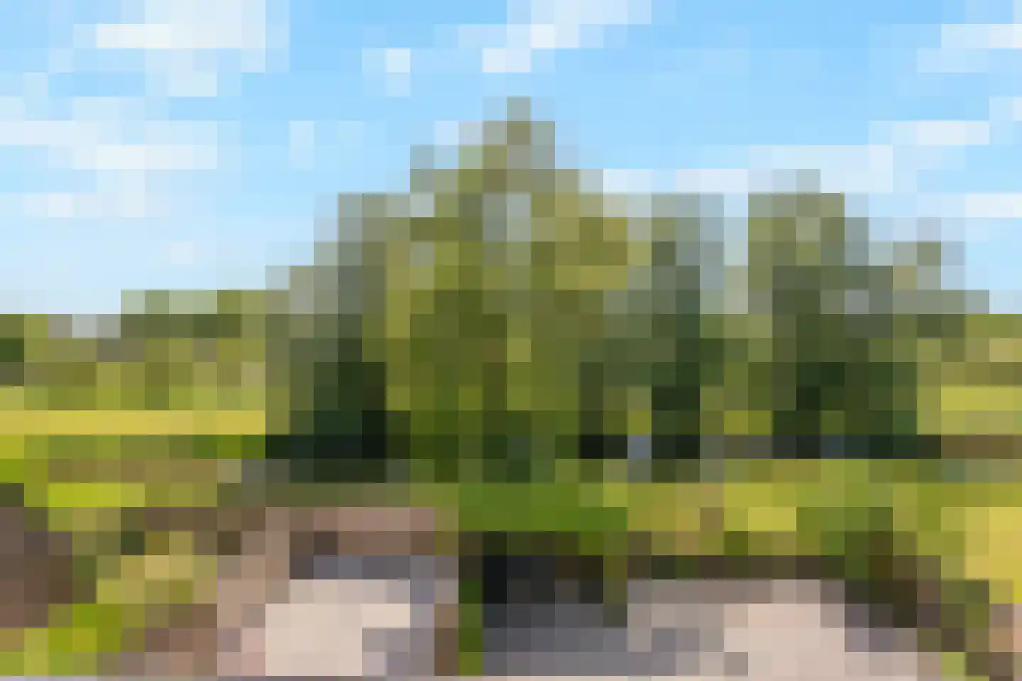 Kennedystraat 36 Duiven thumbnail 55