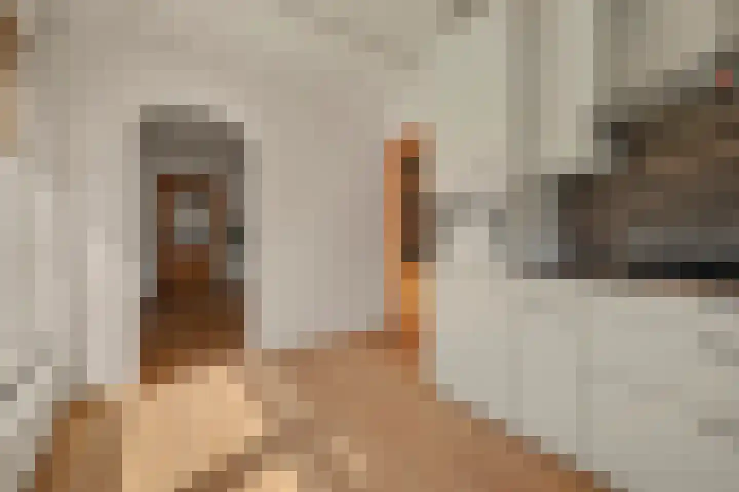 Kennedystraat 37 Drunen thumbnail 13