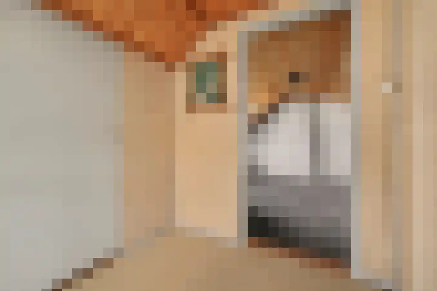 Kennedystraat 37 Drunen thumbnail 30