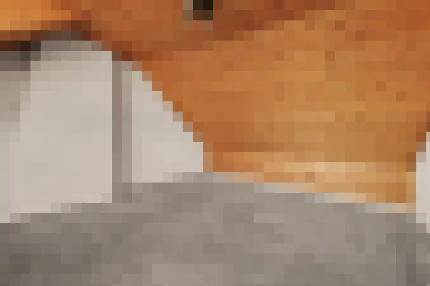 Kennedystraat 37 Drunen thumbnail 32
