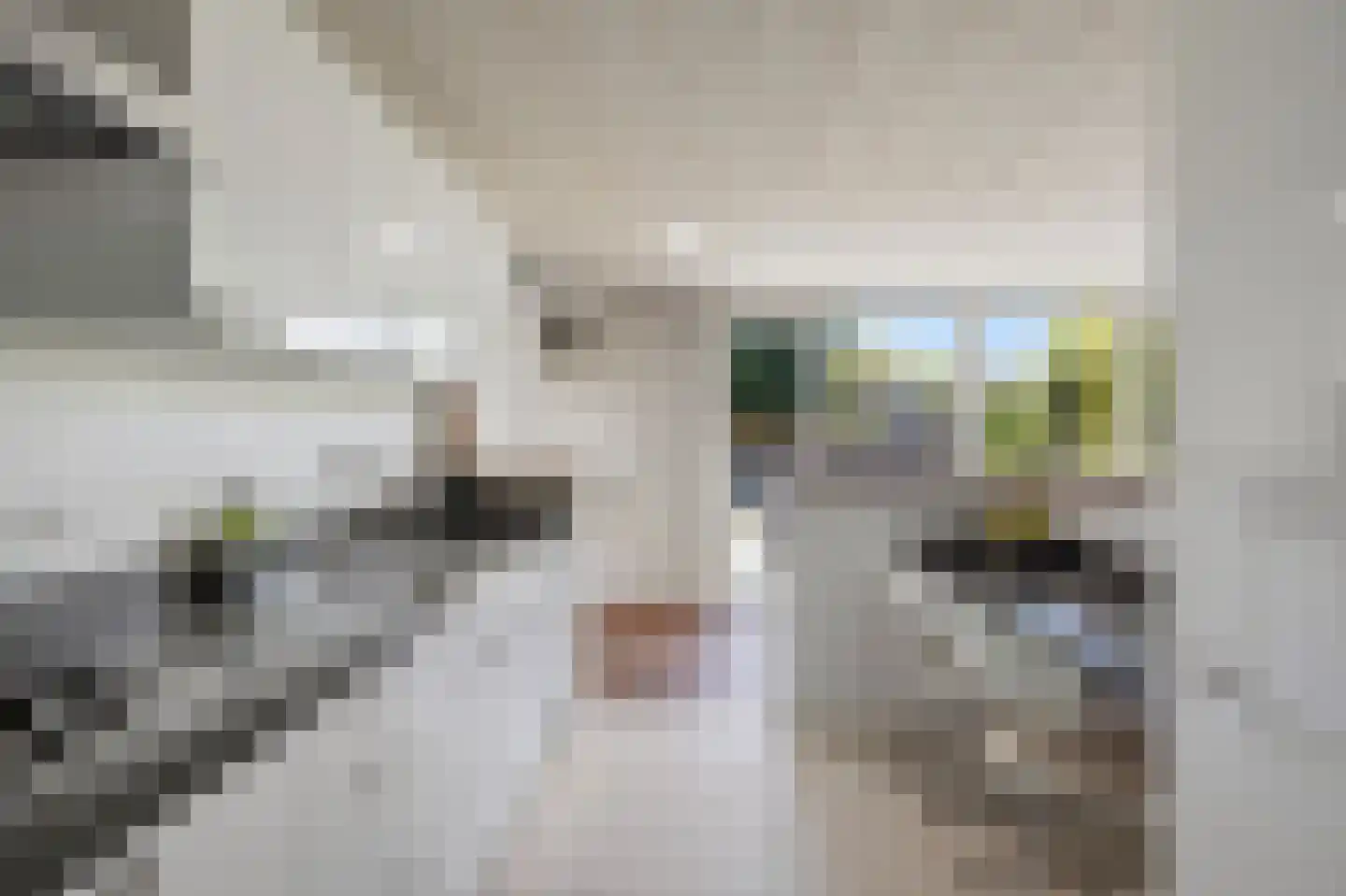 Kennedystraat 52 Drunen thumbnail 17