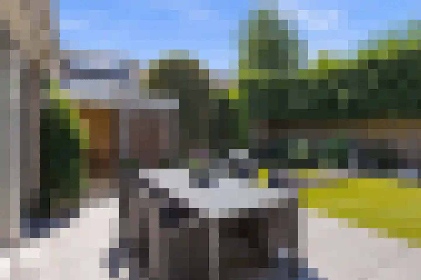 Kennedystraat 52 Drunen thumbnail 33