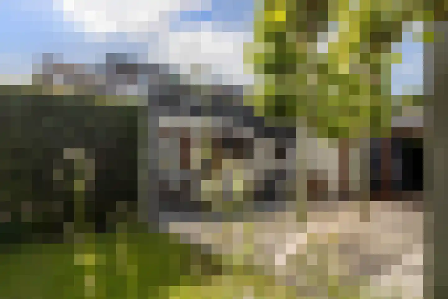 Kennedystraat 7 Ulestraten thumbnail 31