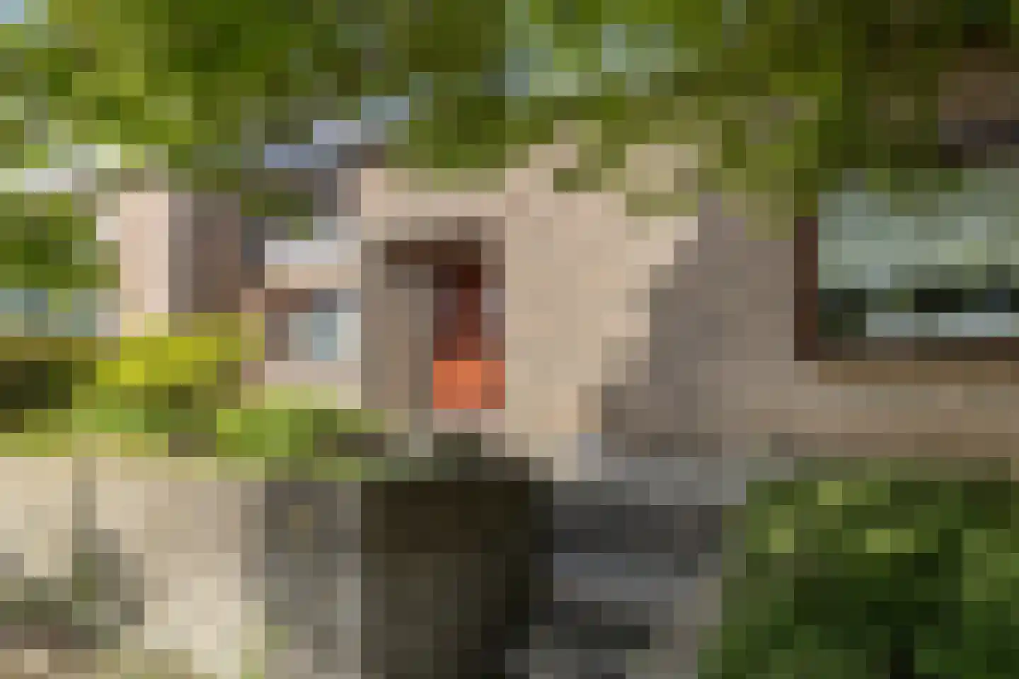Kennedystraat 7 Ulestraten thumbnail 34