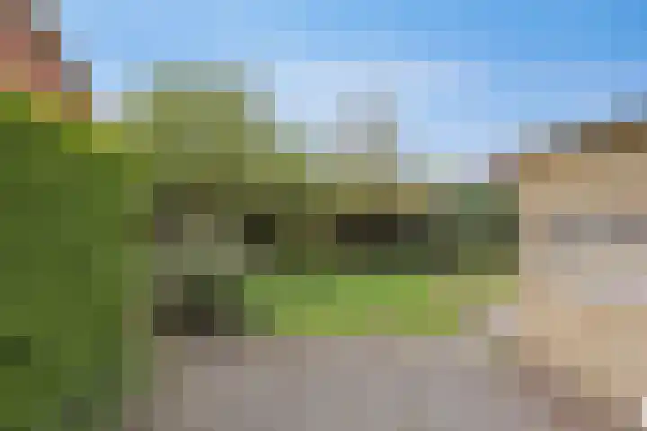 Kennedystraat 8 Zieuwent thumbnail 4