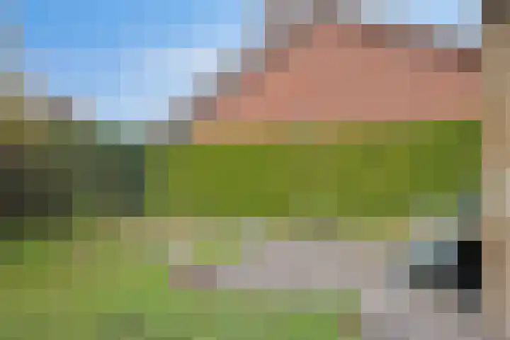 Kennedystraat 8 Zieuwent thumbnail 5
