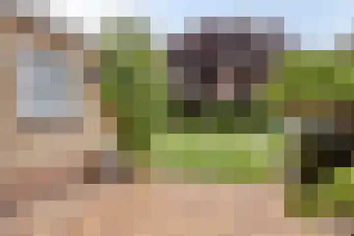 Kennedystraat 9 Boekel thumbnail 33