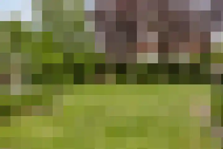 Kennedystraat 9 Boekel thumbnail 34