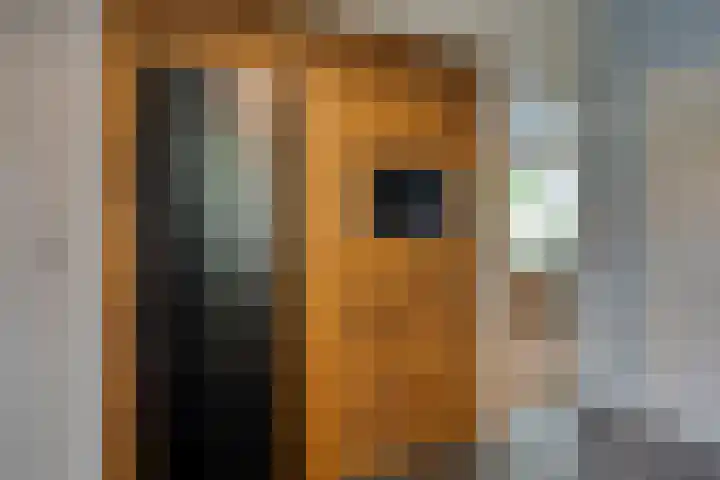 Kennedystraat 9 Boekel thumbnail 6