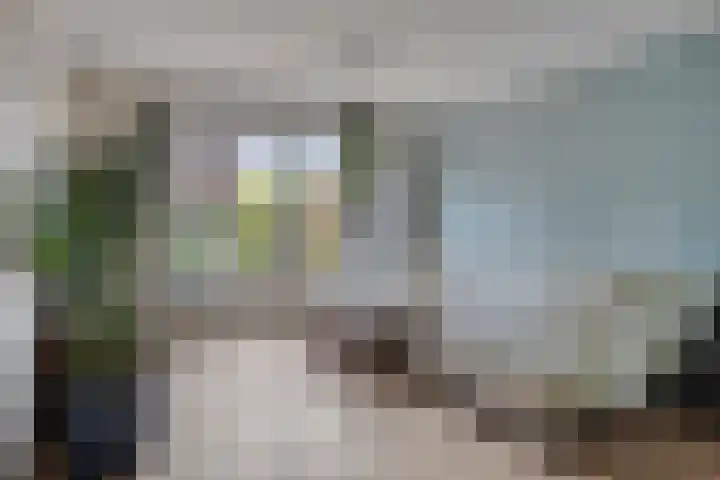 Kennedystraat 9 Boekel thumbnail 7