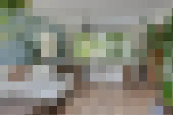 Kennedystraat 9 Boekel thumbnail 8