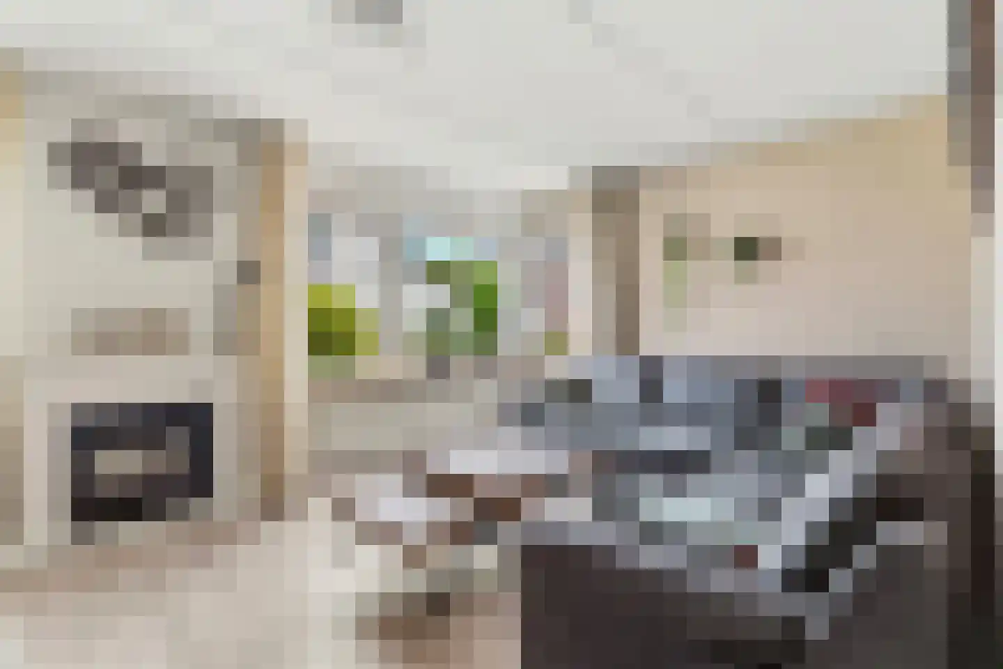 Kennedystraat 9 Millingen aan de Rijn thumbnail 9