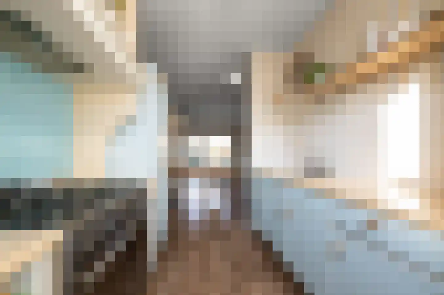 Kennemerbeek 9 Zaandam thumbnail 8