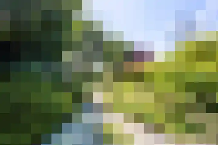 Kennemerbeekweg 14 Hillegom thumbnail 14