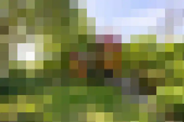 Kennemerbeekweg 14 Hillegom thumbnail 15