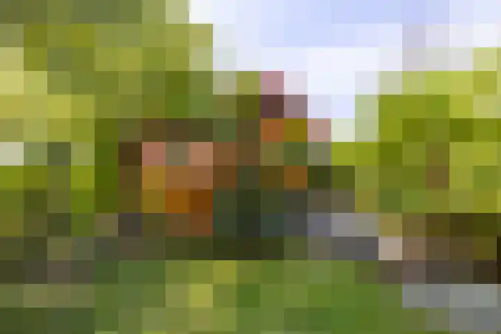 Kennemerbeekweg 14 Hillegom thumbnail 16