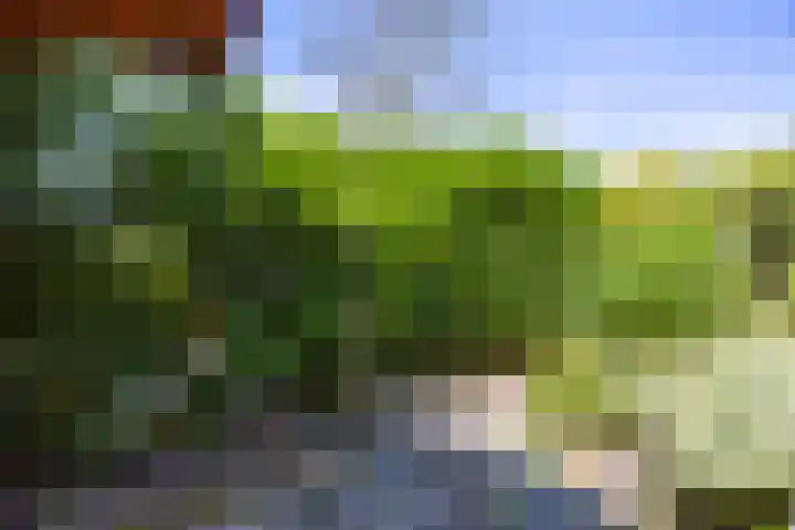 Kennemerbeekweg 14 Hillegom thumbnail 20