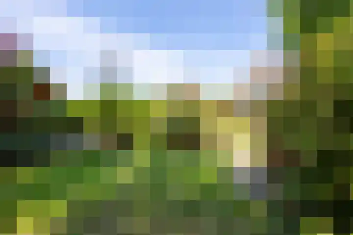 Kennemerbeekweg 14 Hillegom thumbnail 21